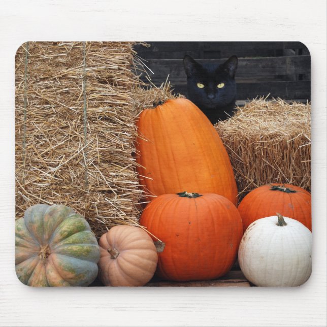 Tapis De Souris Chat noir et citrouille (Devant)