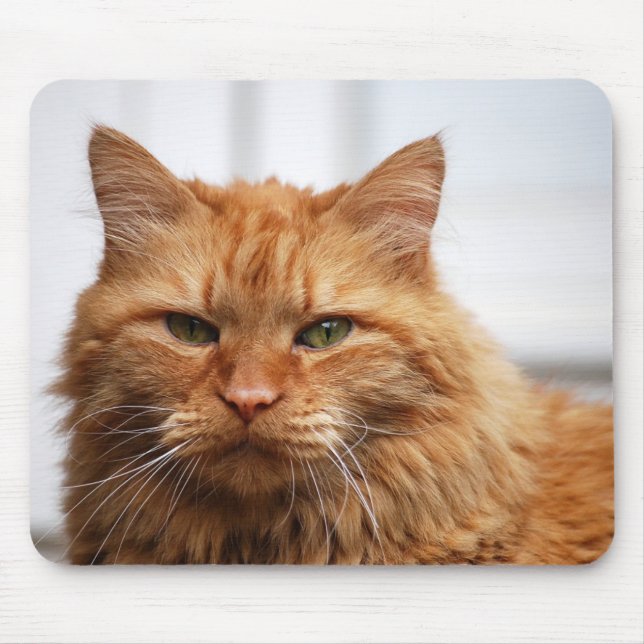 Tapis De Souris Chat norvégien Mousepad de forêt (Devant)