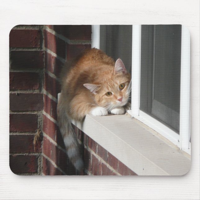 Tapis De Souris Chat orange (Devant)
