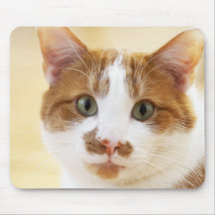 Tapis De Souris chat orange et blanc regardant l'appareil-photo