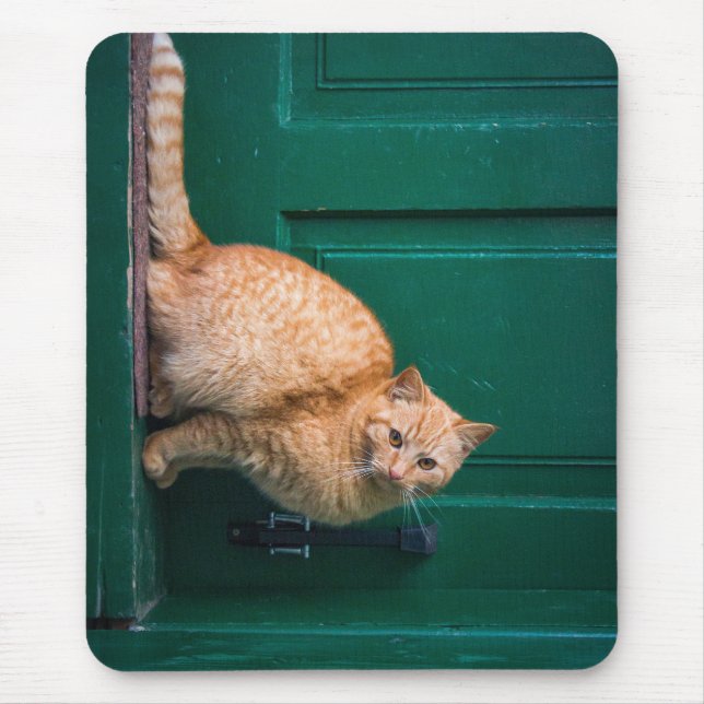Tapis De Souris chat, porte d'entrée, animal (Devant)