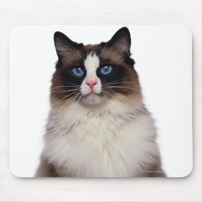 Tapis De Souris Chat Ragdoll (Devant)