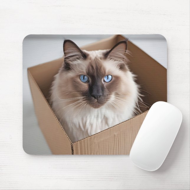 Tapis De Souris Chat Ragdoll Dans Boîte En Carton (Avec souris)