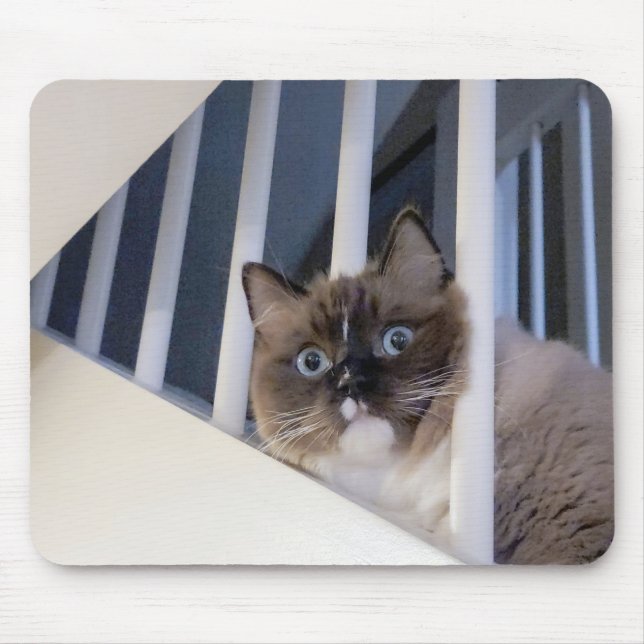 Tapis De Souris Chat Ragdoll Sur Escalier (Devant)