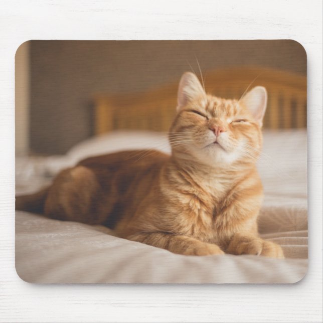 Tapis De Souris Chat somnolent des images | de Getty (Devant)