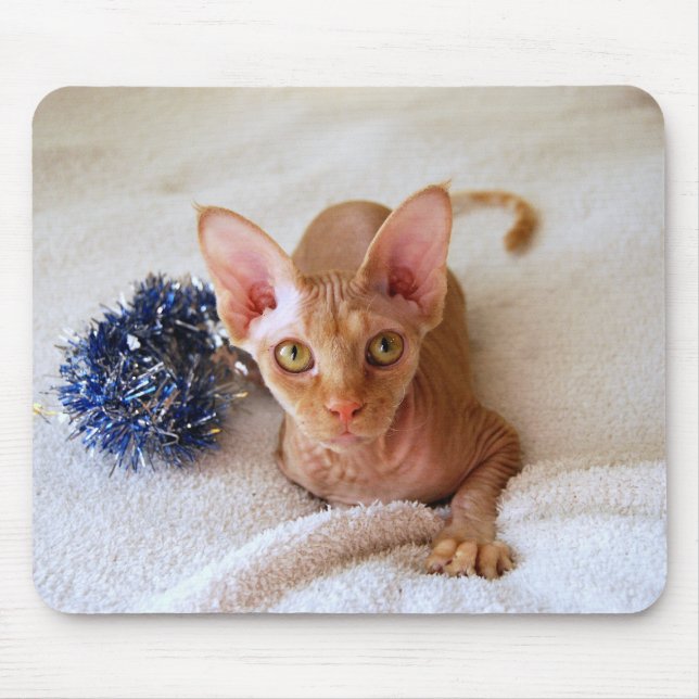 Tapis De Souris Chat Sphinx avec Mousepad Tinsel Bleu (Devant)