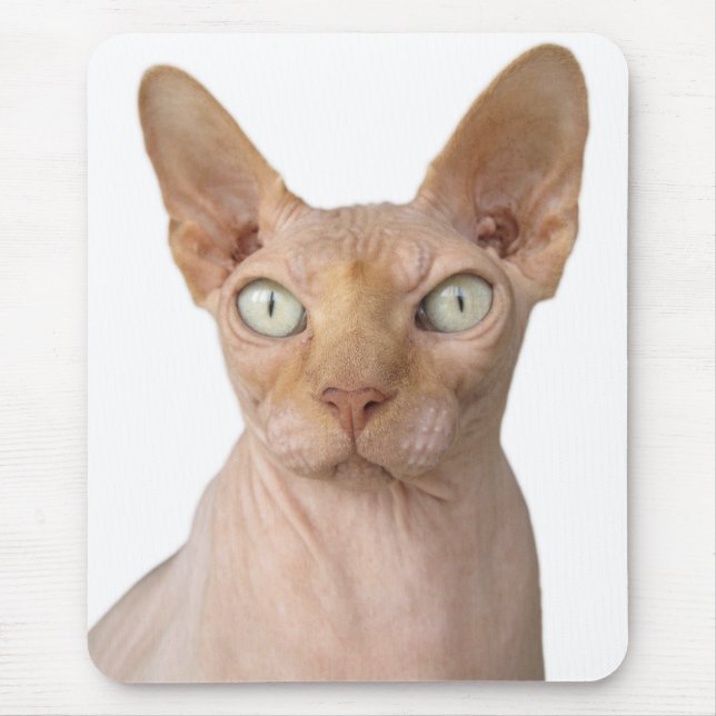 Tapis De Souris Chat Sphynx sans cheveux (Devant)