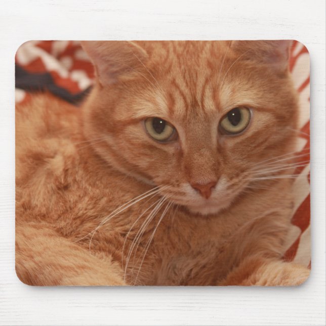 Tapis De Souris Chat tigré orange (Devant)