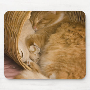 Tapis De Souris Chat tigré orange dormant dans un panier