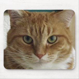 Tapis De Souris Chat tigré orange Mousepad