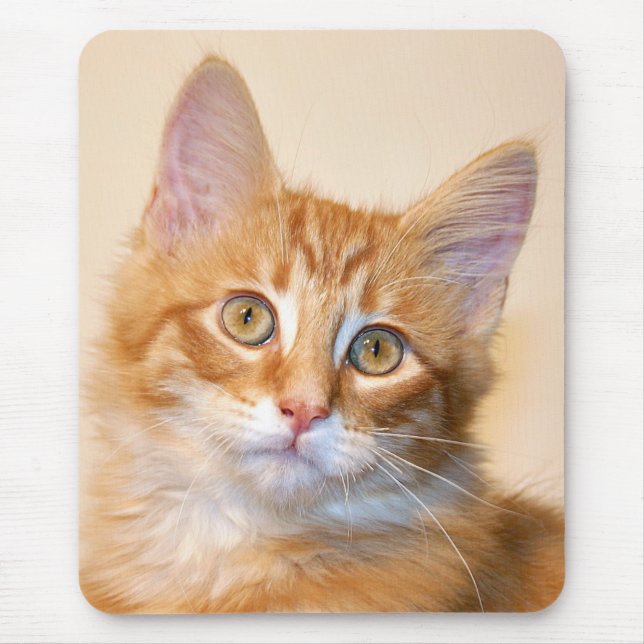 Tapis De Souris Chaton à table orange (Devant)