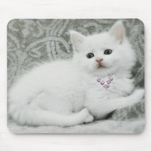 Tapis De Souris Chaton blanc