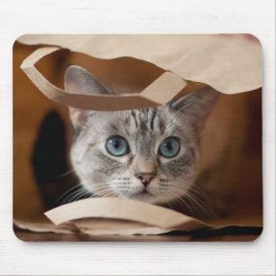 Tapis De Souris Chaton dans le sac d'épicerie