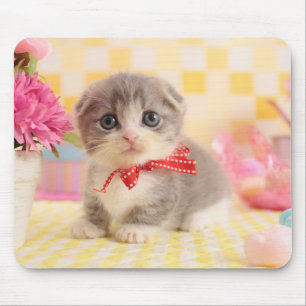 Tapis De Souris Chaton de Munchkin
