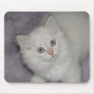 Tapis De Souris Chaton d'or Mousepad