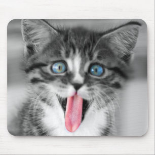 Tapis De Souris Chaton drôle