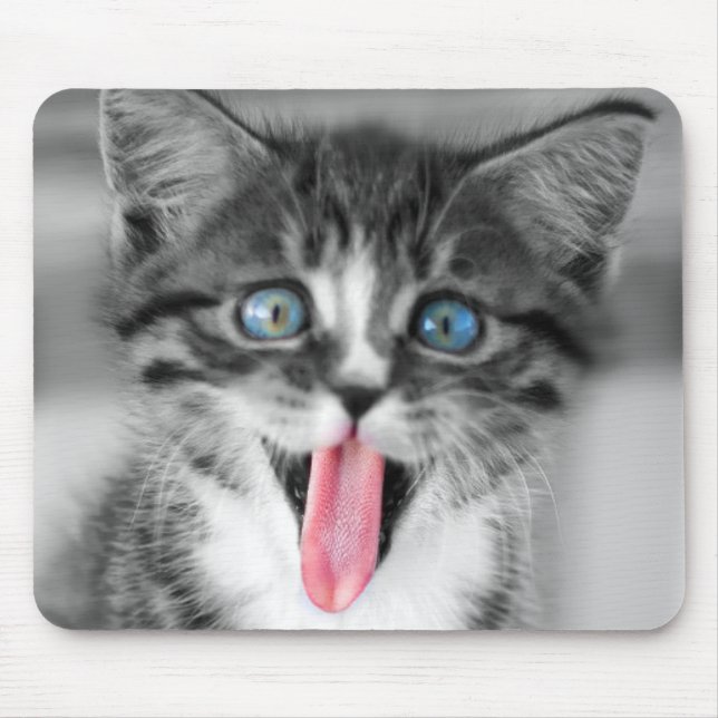 Tapis De Souris Chaton drôle (Devant)