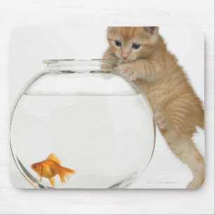 Tapis De Souris Chaton essayant d'en avoir après un poisson rouge