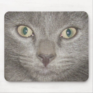 Tapis De Souris chaton face2 mousepad -gris