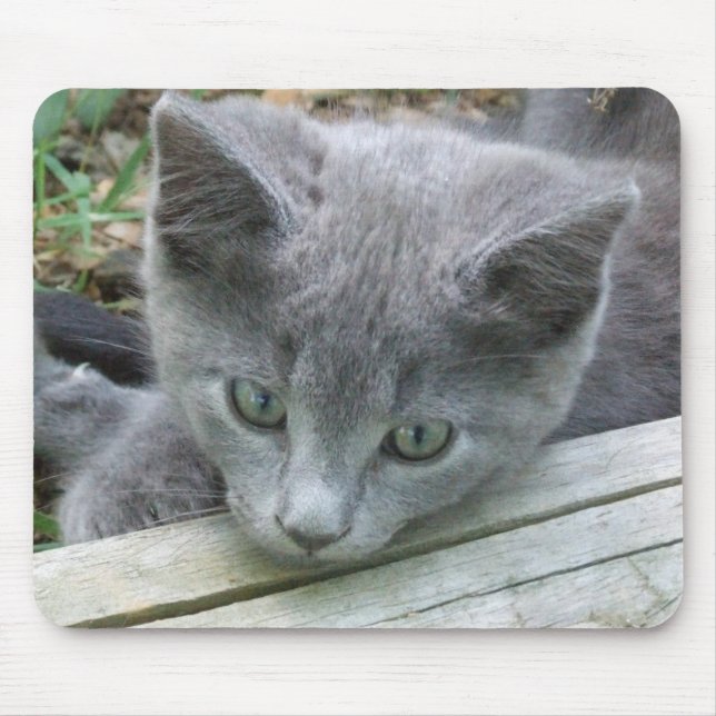 Tapis De Souris Chaton gris Mousepad (Devant)