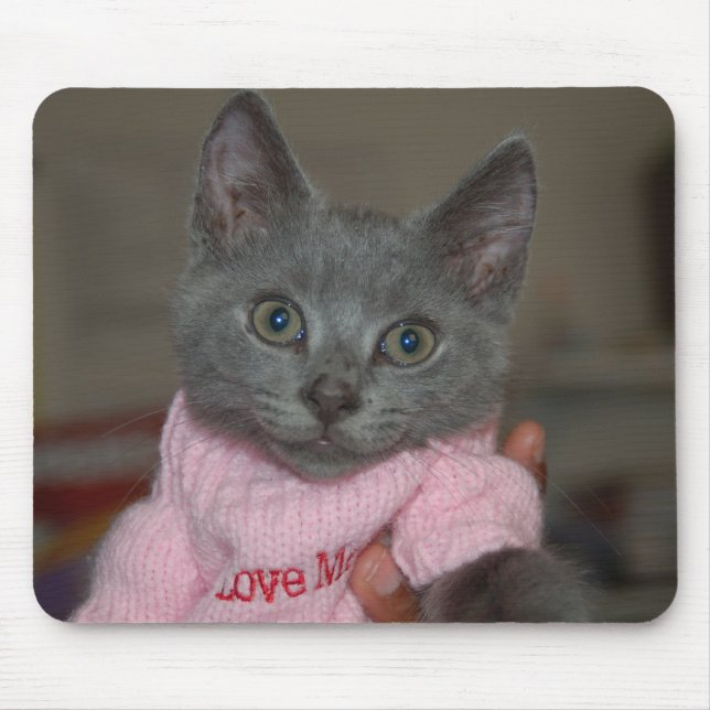 Tapis De Souris Chaton mignon dans le chandail (Devant)