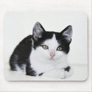 Tapis De Souris Chaton noir et blanc