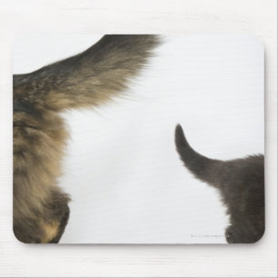 Tapis De Souris Chaton regardant la queue de sa mère
