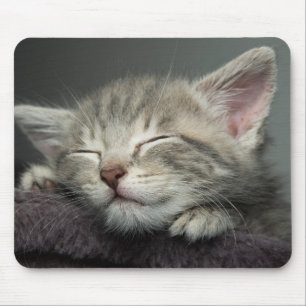 Tapis De Souris Chaton somnolent