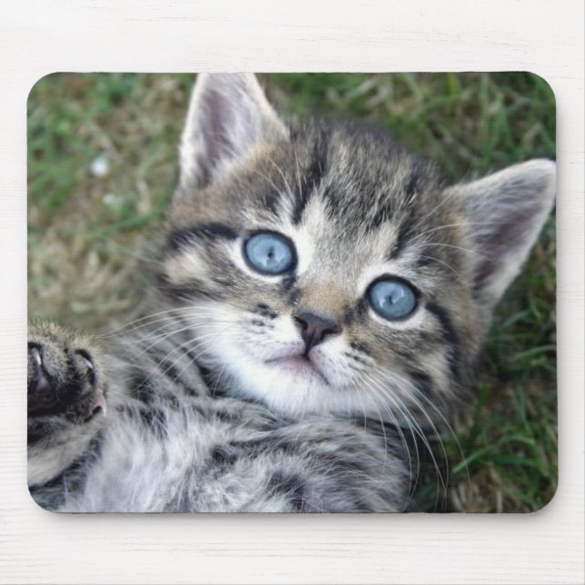 Tapis De Souris Chaton tigré argenté aux yeux bleus adorable (Devant)