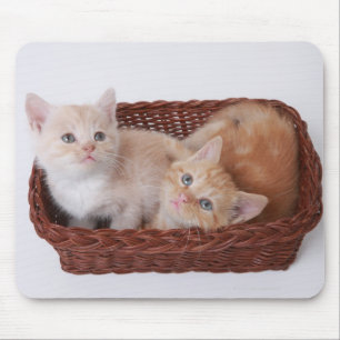 Tapis De Souris Chatons dans le panier