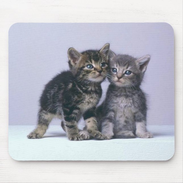 Tapis De Souris chatons de cuddy ! (Devant)