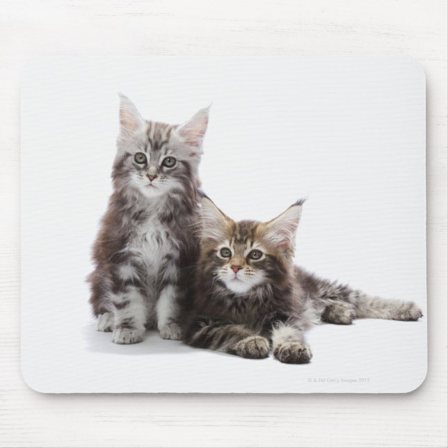 Tapis De Souris Chatons de ragondin du Maine (Devant)