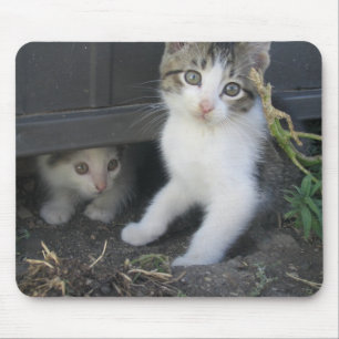 Tapis De Souris Chatons jouant à la ferme Mousepad