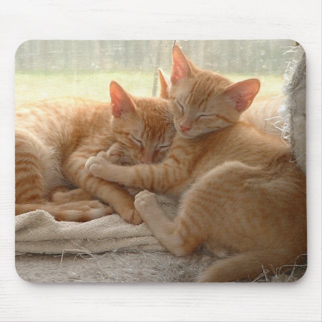 Tapis De Souris Chatons oranges (Devant)