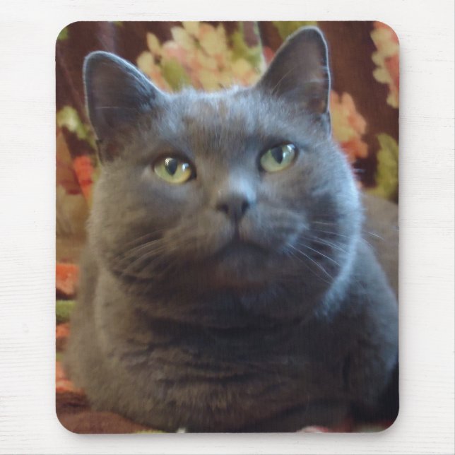 Tapis De Souris Chatouillements (Devant)