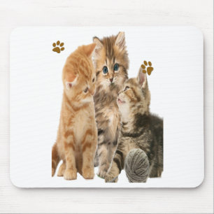Tapis De Souris Chats