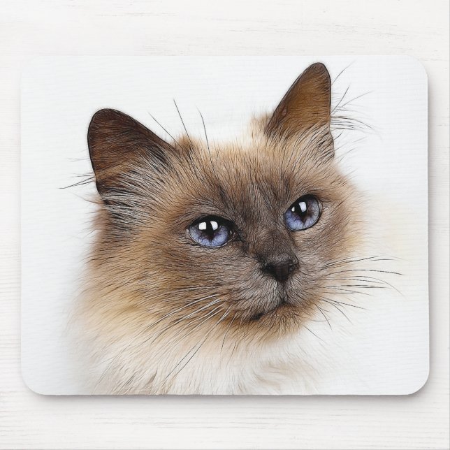 TAPIS DE SOURIS CHATS (Devant)