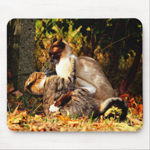 Tapis De Souris Chats Mousepad