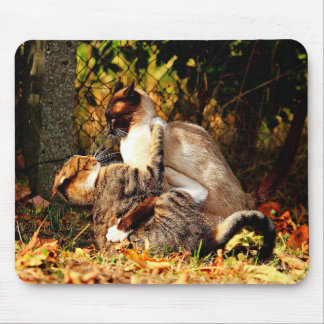Tapis De Souris Chats Mousepad