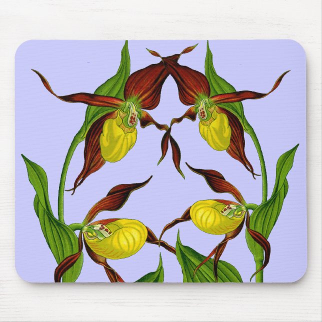 Tapis De Souris Chaussons Lady Entwitter Mousepad (Devant)
