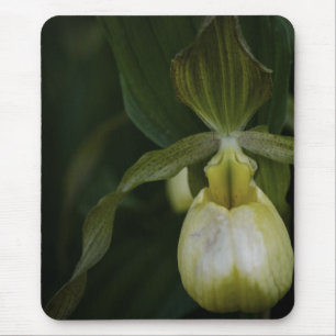 Tapis De Souris Chaussure jaune 2 Mousepad