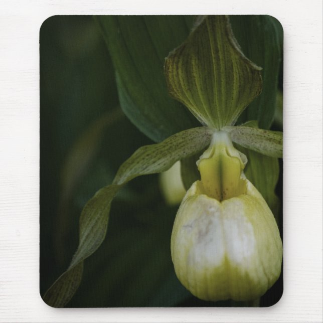 Tapis De Souris Chaussure jaune 2 Mousepad (Devant)