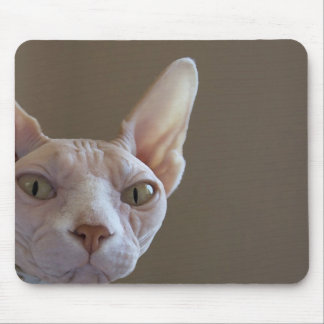 Tapis de souris chauve de chat
