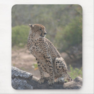 Tapis De Souris Cheetah
