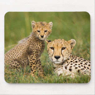 Tapis De Souris Cheetah Cub and Parent