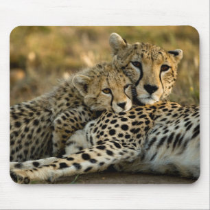 Tapis De Souris Cheetah Cub Snuggling