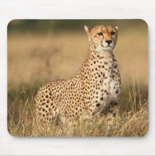 Tapis De Souris Cheetah on small mound for better visibility