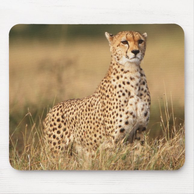 Tapis De Souris Cheetah on small mound for better visibility (Devant)