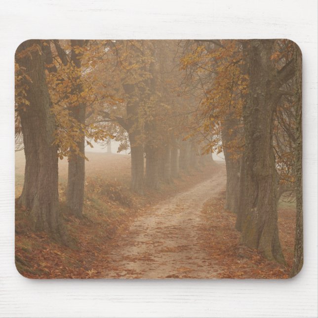 Tapis De Souris Chemin boisé bordé par des arbres d'automne Photo (Devant)
