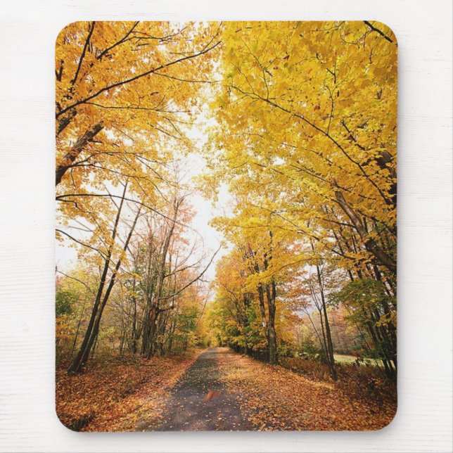 Tapis De Souris Chemin de marche du Foliage d'automne (Devant)